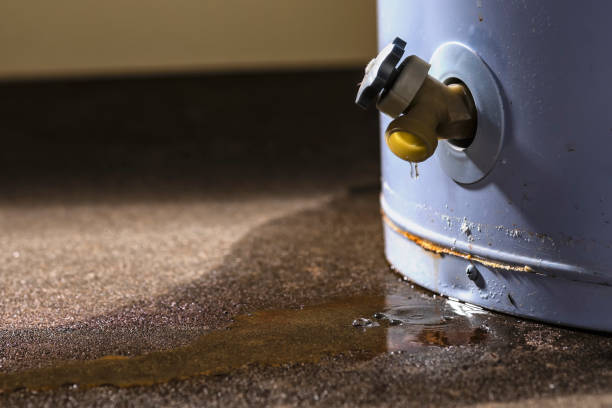 Best Ceiling water damage repair  in Luckey, OH