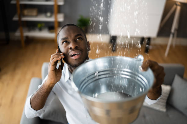 Best Water damage restoration insurance claims  in Luckey, OH