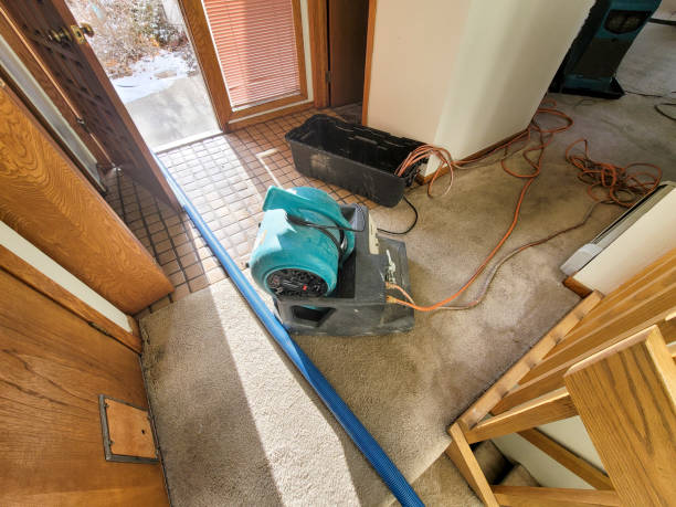 Best Water damage restoration near me  in Luckey, OH