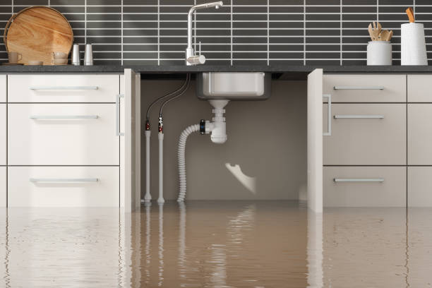 Best Emergency water damage restoration  in Luckey, OH